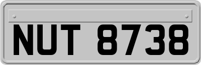 NUT8738