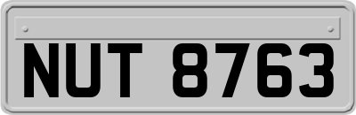 NUT8763