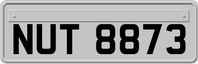 NUT8873