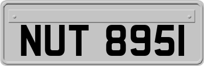 NUT8951