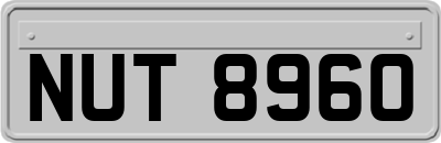 NUT8960