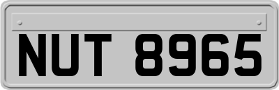 NUT8965