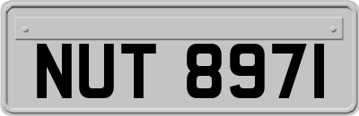 NUT8971