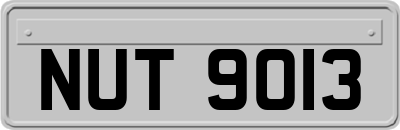 NUT9013