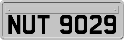 NUT9029