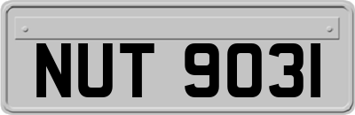 NUT9031