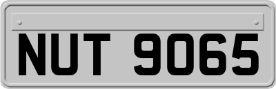 NUT9065