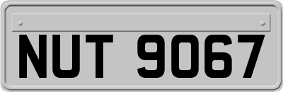 NUT9067