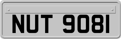 NUT9081