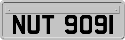 NUT9091