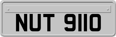 NUT9110