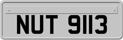 NUT9113