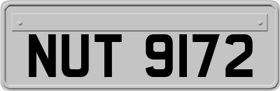 NUT9172