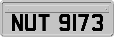 NUT9173