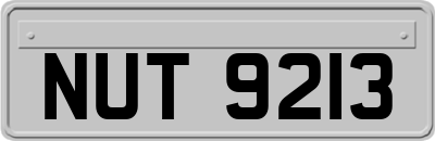 NUT9213