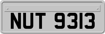 NUT9313