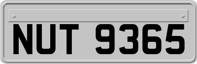 NUT9365