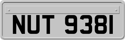 NUT9381
