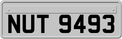 NUT9493