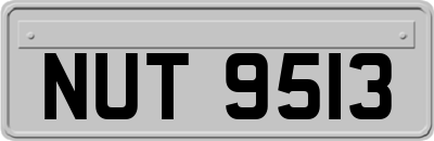 NUT9513