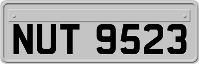 NUT9523