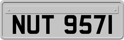 NUT9571