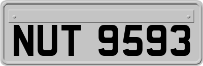 NUT9593