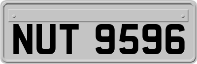 NUT9596