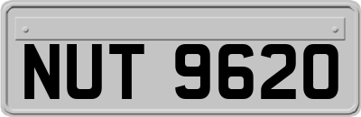 NUT9620