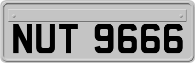 NUT9666