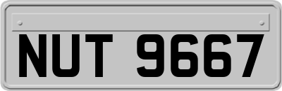 NUT9667