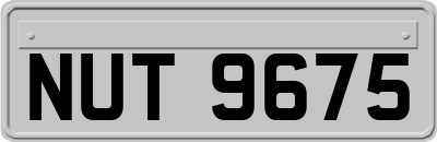 NUT9675