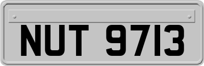 NUT9713