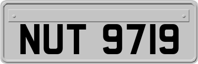 NUT9719