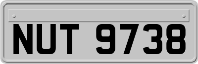NUT9738