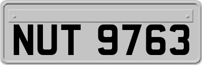 NUT9763