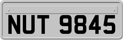 NUT9845