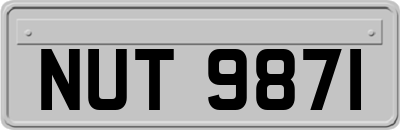 NUT9871