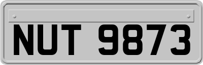 NUT9873