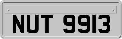 NUT9913
