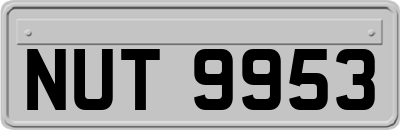 NUT9953