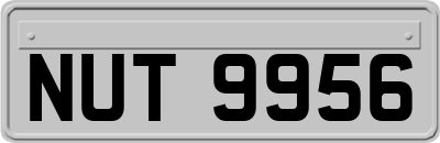 NUT9956