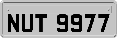 NUT9977