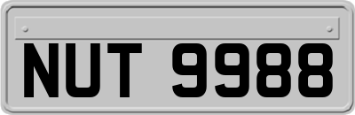 NUT9988