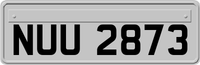 NUU2873