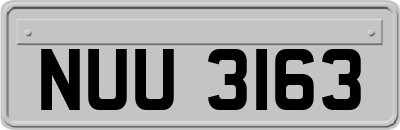 NUU3163