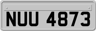 NUU4873