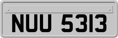 NUU5313