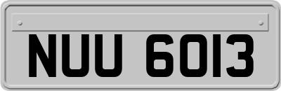 NUU6013