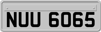 NUU6065